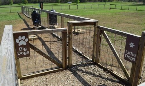 Gunn Park - Dog Park LM (9)